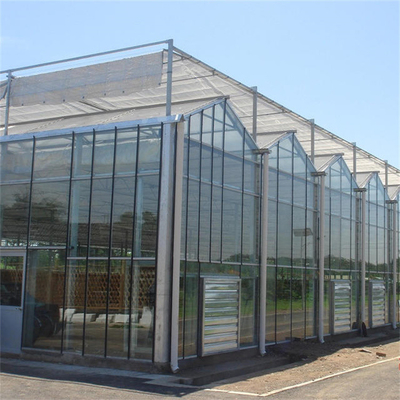 สวนฤดูหนาวคลุมเห็ดเรือนกระจกพลังงานแสงอาทิตย์เรือนกระจก Multi Span Venlo Type Greenhouse