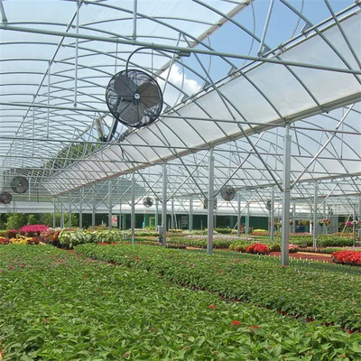 แผ่นพลาสติกกลมอุโมงค์ Hydroponic Multi Span Greenhouse สำหรับปลูกดอกไม้